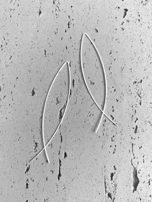 Серьги ФИШ серьги арт 59601 в магазине дизайнерских украшений Cherepaha.shop